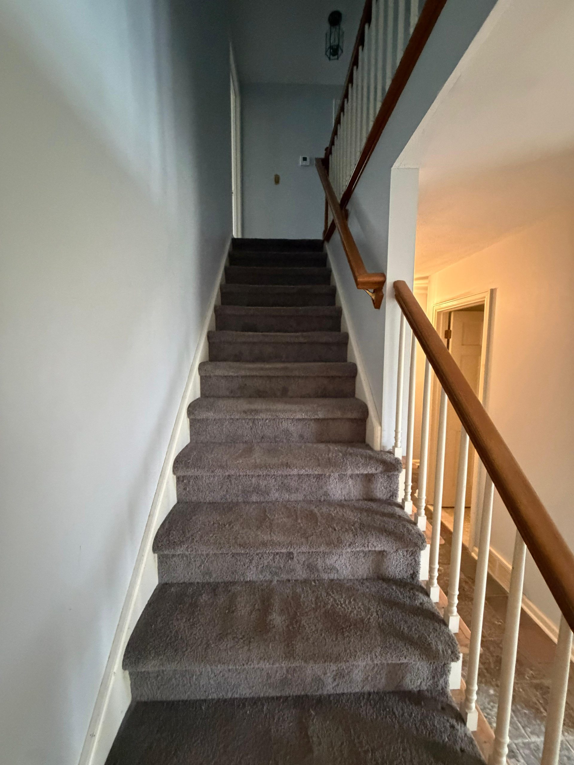 WhatsApp Image 2026-04-13 at 16.49